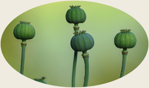 Bild zu Dein Licht mit Leichtigkeit selbstbewusst leuchten. Eine kniende Frau mit starker Lichtausstrahlung. 