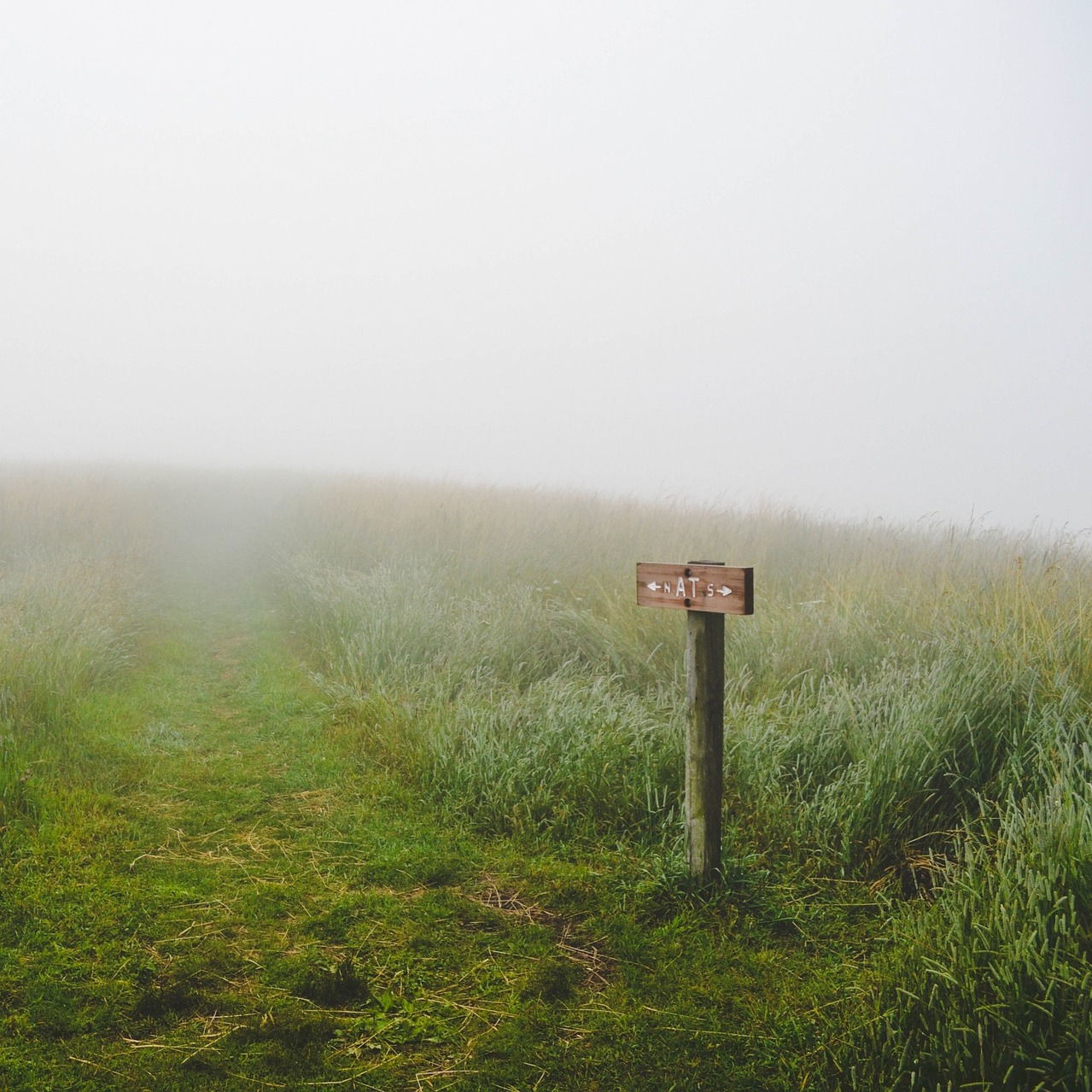A signpost in a foggy landscape